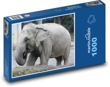 Slon Puzzle 1000 dílků - 60 x 46 cm