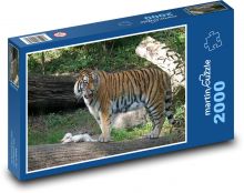 Tygr - dravec, velká kočka Puzzle 2000 dílků - 90 x 60 cm