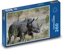 Nosorožec v africké savaně Puzzle 260 dílků - 41 x 28,7 cm