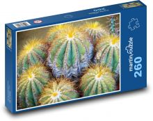 Kaktus - exotika, rostlina Puzzle 260 dílků - 41 x 28,7 cm