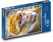 Barbarská opice - zvíře, savec Puzzle 130 dílků - 28,7 x 20 cm