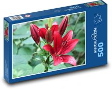 Lilie - červená, rosa Puzzle 500 dílků - 46 x 30 cm