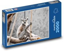 Lemur - zvíře Puzzle 2000 dílků - 90 x 60 cm
