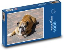 Pes - Buldog Puzzle 1000 dielikov - 60 x 46 cm 