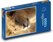 Lion Puzzle 1000 pieces - 60 x 46 cm 