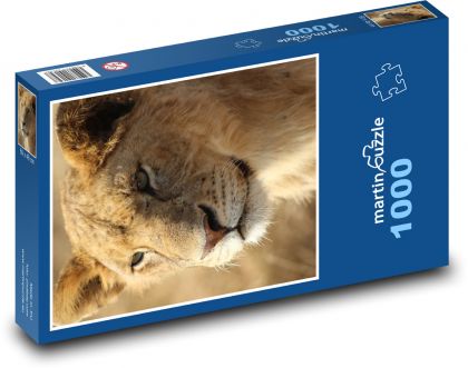 Lion - Puzzle 1000 pieces, size 60x46 cm 