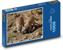 Meerkat Puzzle 1000 dielikov - 60 x 46 cm 