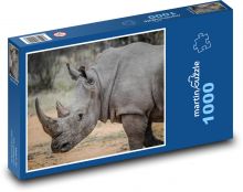 Old rhinoceros on the savannah Puzzle 1000 pieces - 60 x 46 cm