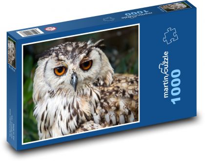 Owl - Puzzle 1000 pieces, size 60x46 cm 