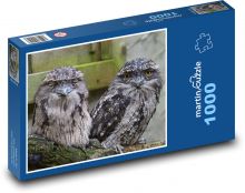 Owl Puzzle 1000 pieces - 60 x 46 cm 