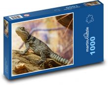 Iguana Puzzle 1000 pieces - 60 x 46 cm 