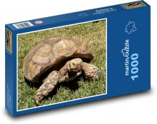 Turtle Puzzle 1000 pieces - 60 x 46 cm 