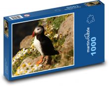 Puffin bělobradý - bird Puzzle 1000 pieces - 60 x 46 cm 