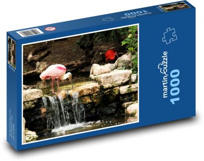 Ibis na splavu - Puzzle 1000 dílků, rozměr 60x46 cm