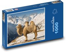 Ťava, hory Puzzle 1000 dielikov - 60 x 46 cm 