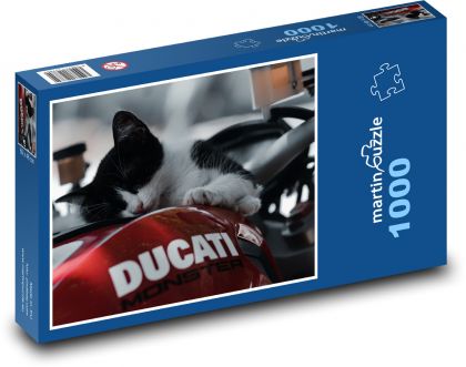 Kotě, Ducati - Puzzle 1000 dílků, rozměr 60x46 cm