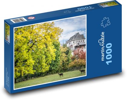 Zámecký park - Puzzle 1000 dílků, rozměr 60x46 cm