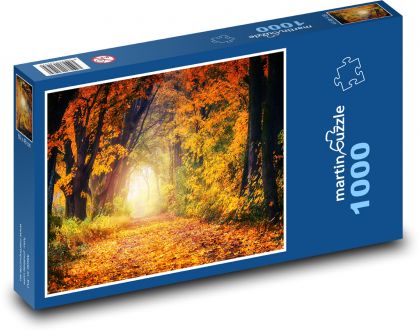 Příroda, podzim, cesta - Puzzle 1000 dílků, rozměr 60x46 cm