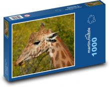 Giraffe - animal, mammal Puzzle 1000 pieces - 60 x 46 cm
