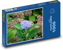 Hortensja - kwiat, natura Puzzle 1000 elementów - 60x46 cm