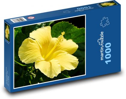 Hibiscus - yellow flower - Puzzle 1000 pieces, size 60x46 cm 