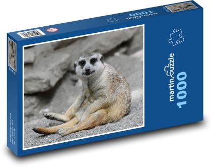 Meerkat - zoo, animal - Puzzle 1000 pieces, size 60x46 cm 