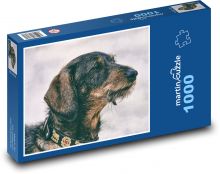 Dachshund - pet Puzzle 1000 pieces - 60 x 46 cm 