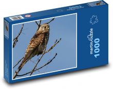 Kestrel - predator, bird Puzzle 1000 pieces - 60 x 46 cm 