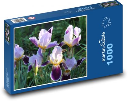 Iris, flower, garden - Puzzle 1000 pieces, size 60x46 cm 