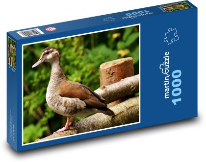 Kachna - vodní pták, zvíře - Puzzle 1000 dílků, rozměr 60x46 cm