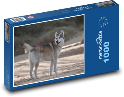 Pies - husky, zima - Puzzle 1000 elementów, rozmiar 60x46 cm