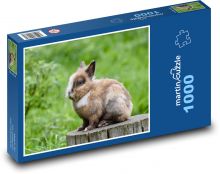 Dwarf rabbit - rabbit, pet Puzzle 1000 pieces - 60 x 46 cm 