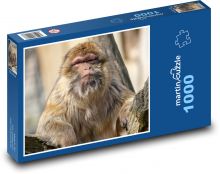 Macaque - monkey, animal Puzzle 1000 pieces - 60 x 46 cm 