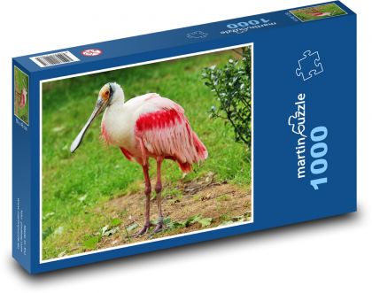 Kolpík - vodní pták, zoo - Puzzle 1000 dílků, rozměr 60x46 cm