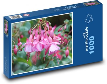 Růžová fuchsie -  zahrada, květina - Puzzle 1000 dílků, rozměr 60x46 cm