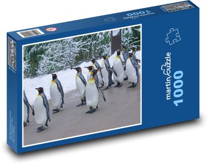 Tučňák - zoo, zvířata - Puzzle 1000 dílků, rozměr 60x46 cm