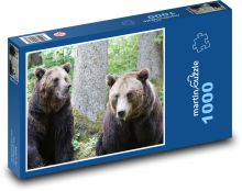 Medvěd - zoo, šelma Puzzle 1000 dílků - 60 x 46 cm