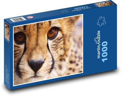 Gepard - zvíře, savec - Puzzle 1000 dílků, rozměr 60x46 cm