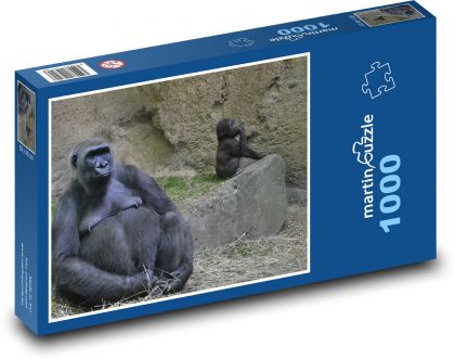 Gorila - zoo, opice - Puzzle 1000 dílků, rozměr 60x46 cm