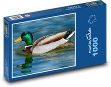 Krzyżówka - kaczka, zwierzę wodne Puzzle 1000 elementów - 60x46 cm