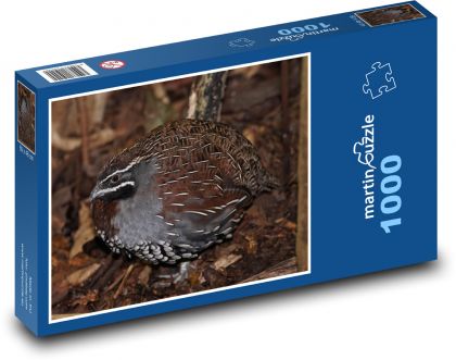 Quail - bird, animal - Puzzle 1000 pieces, size 60x46 cm 