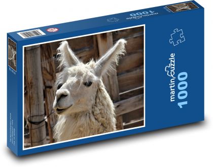 Lama - zvíře, zoo - Puzzle 1000 dílků, rozměr 60x46 cm