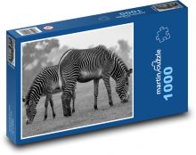 Zebra - zviera, Afrika Puzzle 1000 dielikov - 60 x 46 cm 