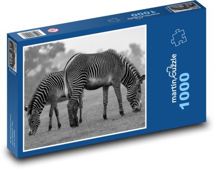 Zebra - zviera, Afrika - Puzzle 1000 dielikov, rozmer 60x46 cm