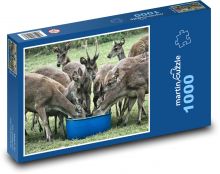 Jelen - divoká zvěř, zvířata Puzzle 1000 dílků - 60 x 46 cm