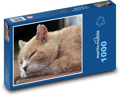 Cat - sleeping kitten, cat - Puzzle 1000 pieces, size 60x46 cm 