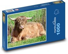 Bull - animal, farm Puzzle 1000 pieces - 60 x 46 cm 