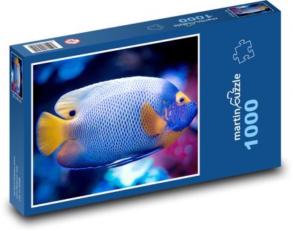 Fish - water, ocean - Puzzle 1000 pieces, size 60x46 cm 