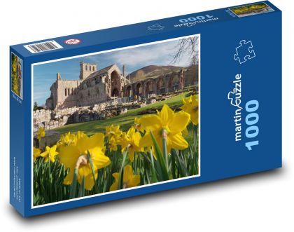 Scotland - church - ruins - Puzzle 1000 pieces, size 60x46 cm 