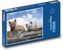 Cats - pets, animals Puzzle 1000 pieces - 60 x 46 cm 